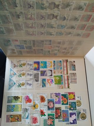 Clasificador sellos Francia Bélgica polo