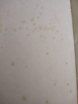 De Victoria Para Alejandro/from Victoria for Alejandro (Spanish Edition)