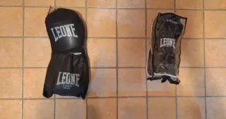 Leone strumenti Boxe