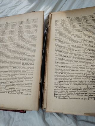 Diccionario etimológico Novia Salcedo