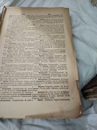 Diccionario etimológico Novia Salcedo