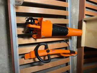 Ara terra magnus elettrico