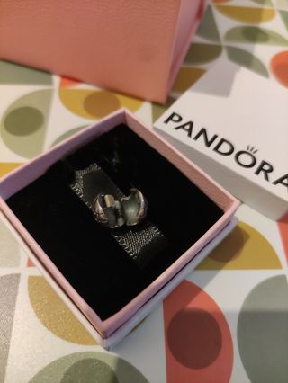 Charm Mundo Pandora