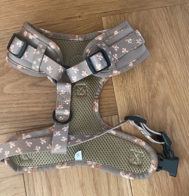 Conjunto arnes y correa perro