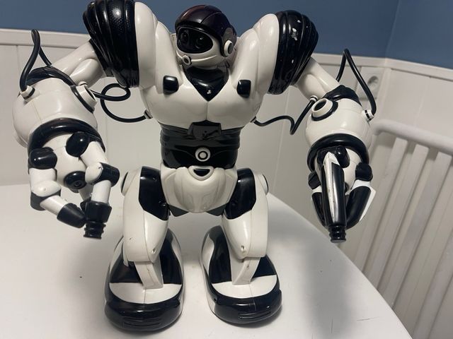 ROBOT ROBOSAPIENS