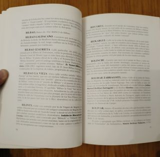 Libro calles de bilbao diccionario