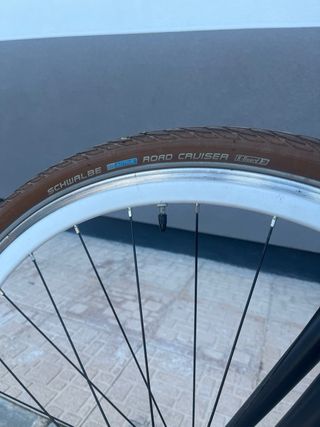 Bici paseo/fixie