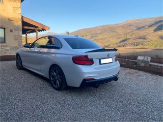 BMW Serie 2 M 235 i