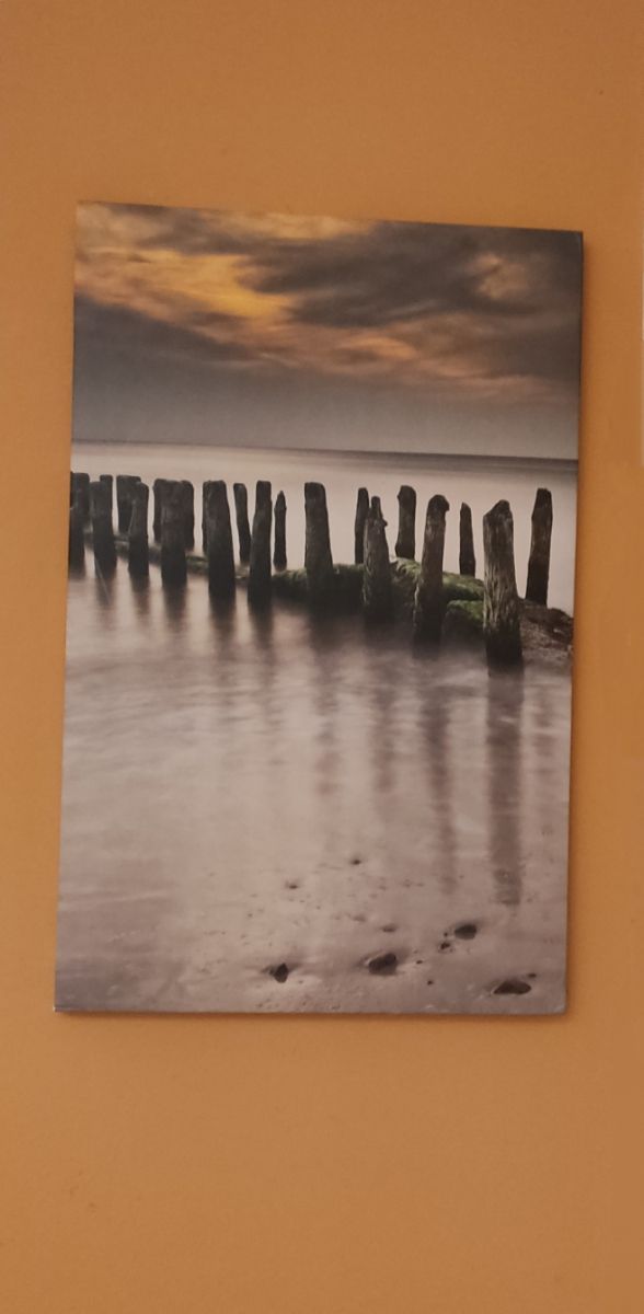 Stampa su cartoncino Sunset Cuadro