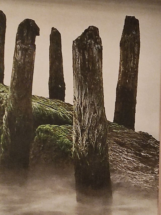 Stampa su cartoncino Sunset Cuadro