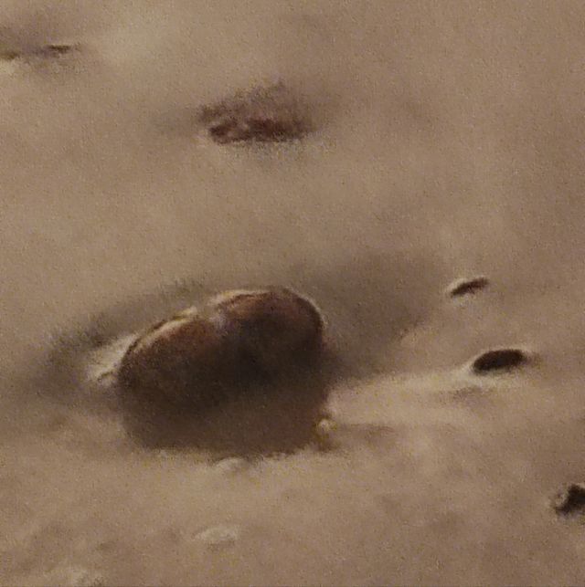 Stampa su cartoncino Sunset Cuadro