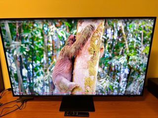 MONITOR SAMSUNG DE 43 pulgadas 4K