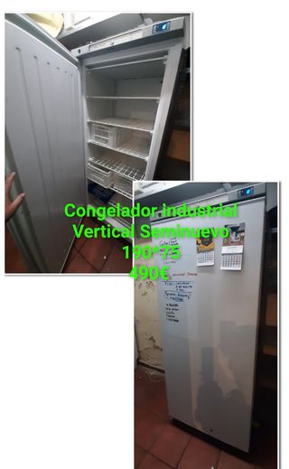 631213000 congelador industrial vertical