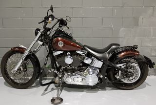 HARLEY DAVIDSON  SOFTAIL THUNDERMOUNTAIN