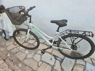 Bicicleta de montaña