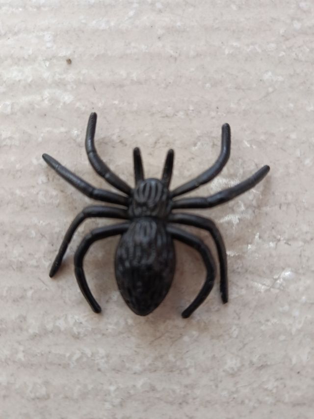 Araña de goma
