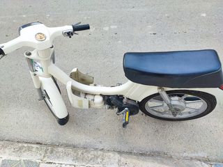 Vespino L
