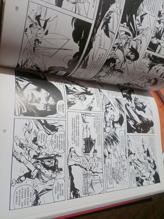 La espada salvaje de Conan.