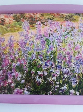 Monet Iris Stampa con cornice rosa Misura 14x19