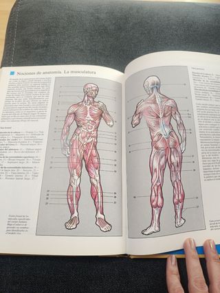DIBUJO ARTISTICO (Curso Completo De Dibujo Y Pintura)