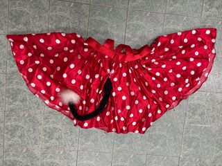 Vestito Carnevale  Minnie da donna