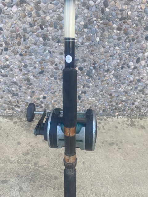 CAÑA DE PESCA 2 Y CARRETE - PESCA DE ALTURA -CURRI