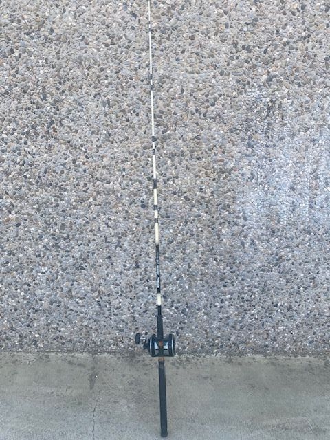 CAÑA DE PESCA 2 Y CARRETE - PESCA DE ALTURA -CURRI