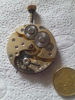 Orol. Tasca Le Chrisantheme