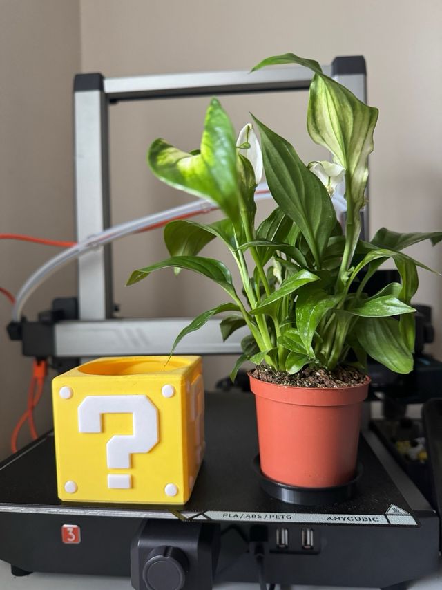 Macetero Bloque Misterioso Super Mario