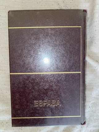 Diccionario Espasa sinónimos y. antónimos