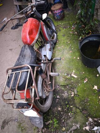 Montesa Kenya impala