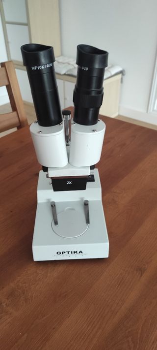 Microscopio estereoscópico (lupa)