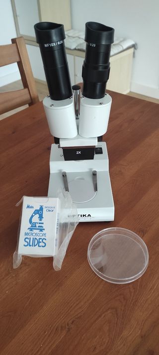 Microscopio estereoscópico (lupa)
