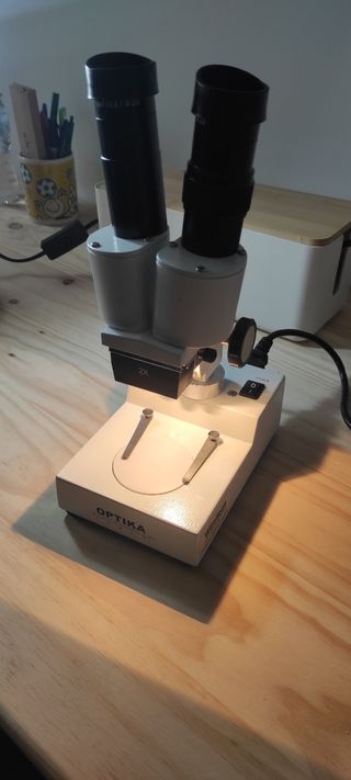 Microscopio estereoscópico (lupa)