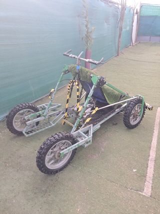 Carro trineo mushing perros