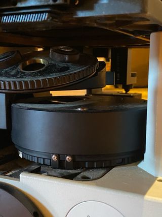 Olympus ix 70 microscopio