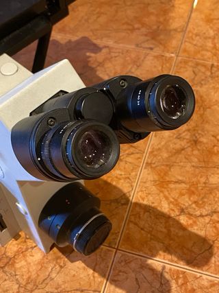 Olympus ix 70 microscopio