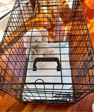 Jaula para Perros Plegable con 2 Puertas Feandrea