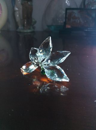 Orchidea Swarovski 