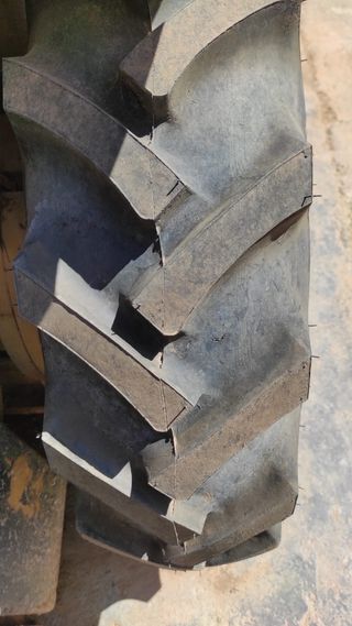 Neumáticos  ruedas de torito