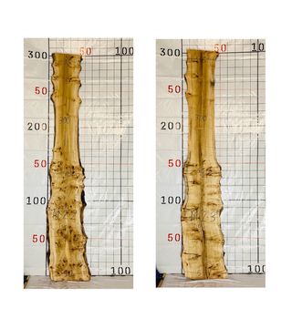 TABLONES MADERA DE ÁLAMO RAÍZ 