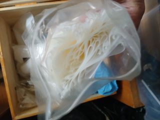 prensa de rosin de 30 ton