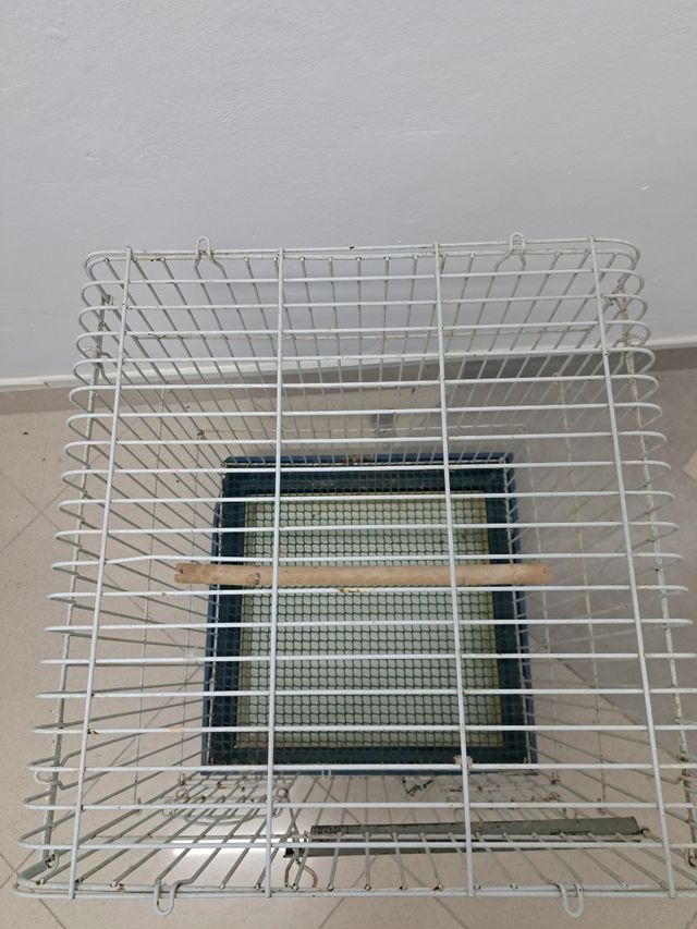 Jaula grande para loro