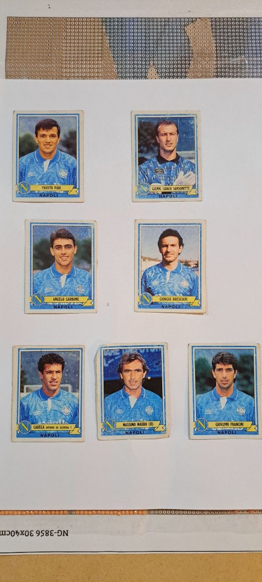 Figurine panini 1992/1993