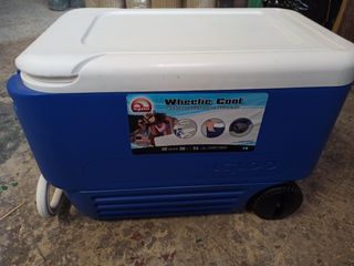 Nevera con ruedas 36L marca IGLOO 