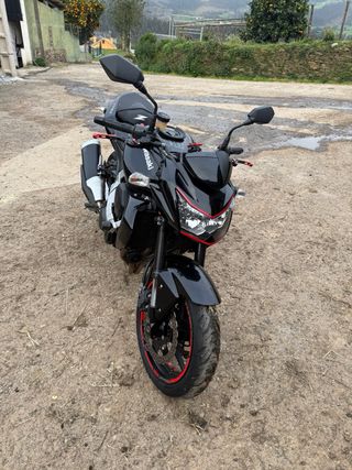 Kawasaki Z750 2010