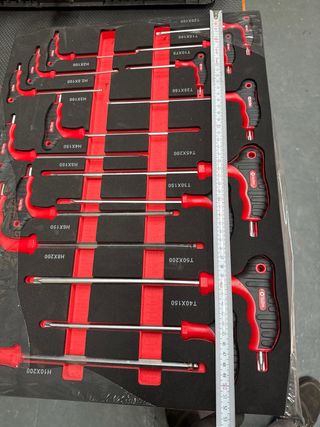 Juego de herramientas Torx y allen en espuma