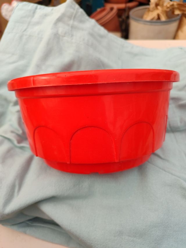 N 6 Ciotole rosse diametro 20 x fiori