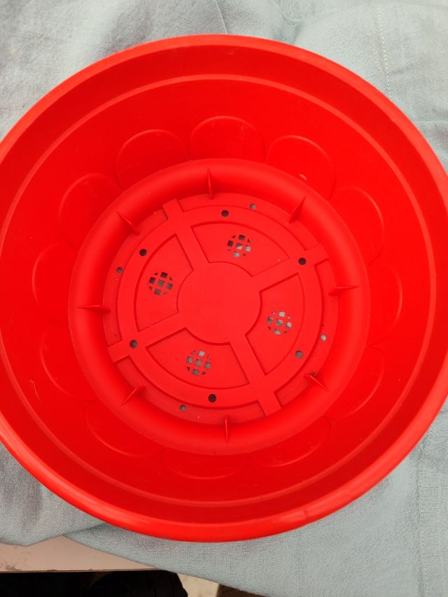 N 6 Ciotole rosse diametro 20 x fiori