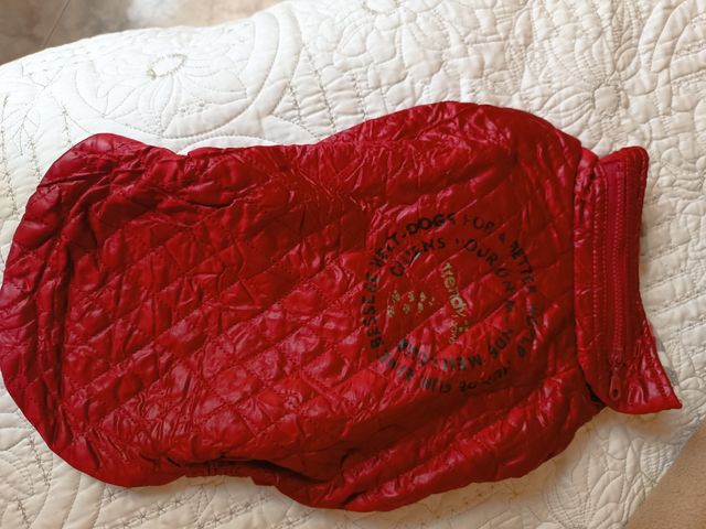 Abrigo perro pequeño Trendy